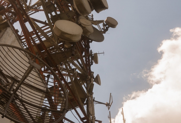 jackson-david-1Y2snhZhH7M-unsplash (1)